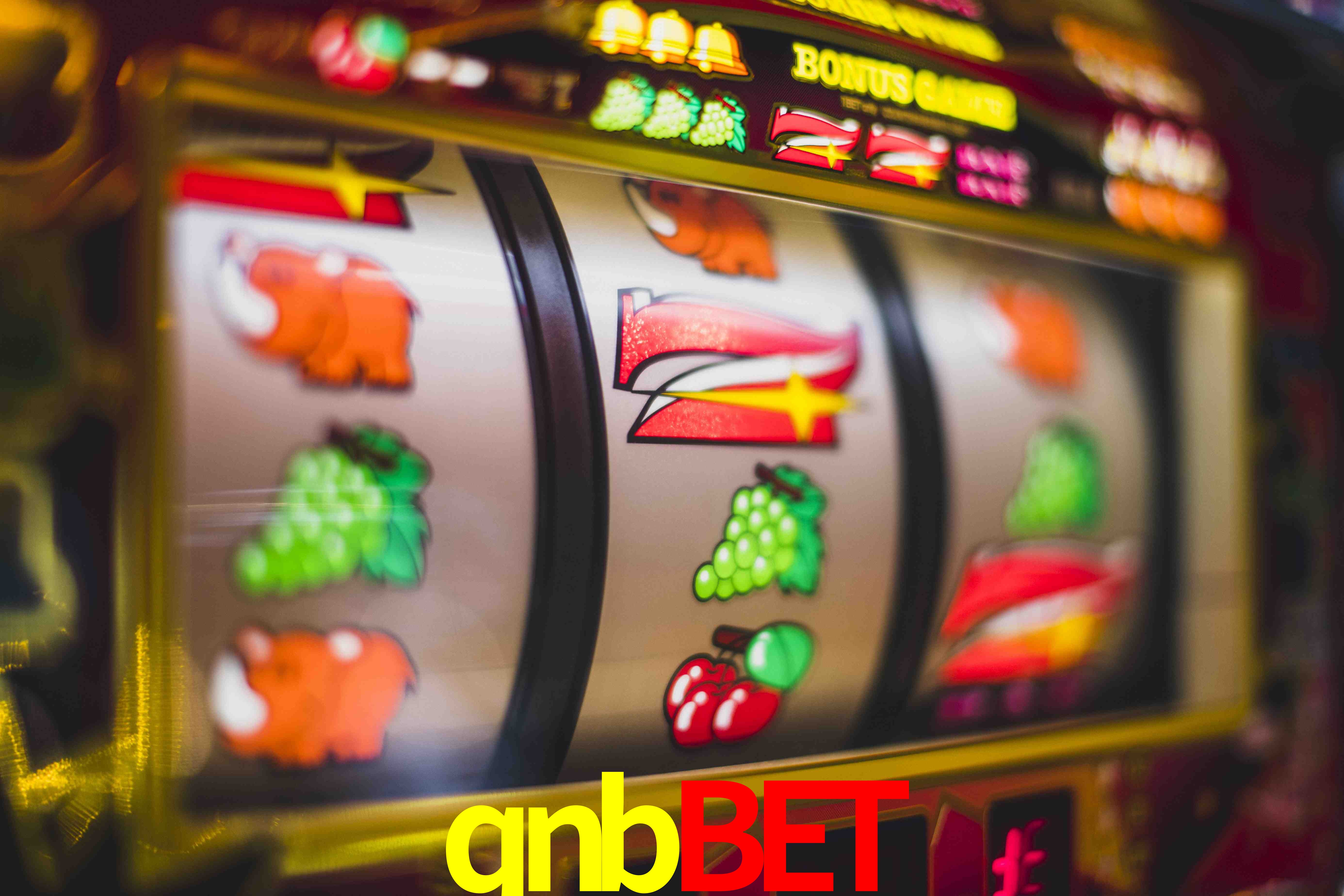 Tennis Betting qnbbet